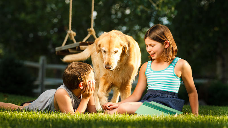 Cover photo of Pure Pest + Lawn